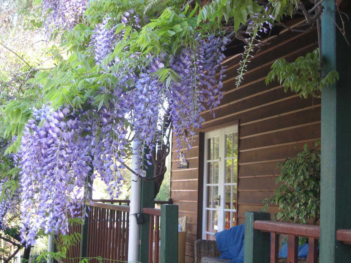 Rosemoore Bed & Breakfast Perth Exterior photo